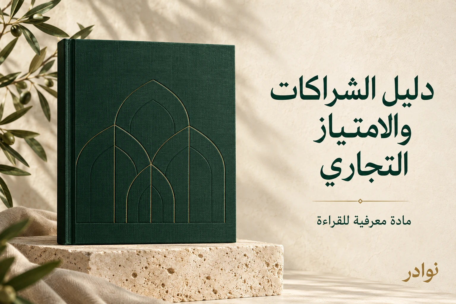 دليل تقييم الشراكات والامتياز التجاري — دليل معرفي للقراءة من نوادر